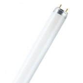 LED lempos T8 (tubes)