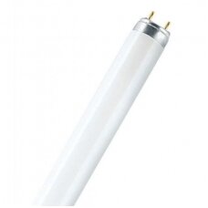 LED T8 lamps (tubes)