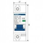 Apsauginis nuolatinės įtampos automatinis jungiklis saulės moduliams 1P | 125A | 250VDC | TAIXI