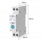 Smart Circuit Breaker | Remote Controlled via Tuya WiFi | 1P+N | 63A | 230V | IP20 | Tangou