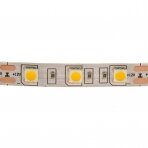 Led juosta 14,4W lanksti karpoma 60LED/1m IP65 SMD5050