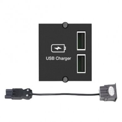 Įmontuojamas USB įkroviklis 2xA 5V/2.4A 0,2m GSTm